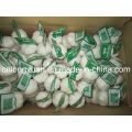 2015 New Crop Small Mesh Bag Packing Garlic